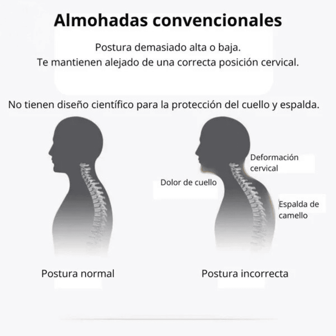 Therapy Somnis® Ortopedica 3D con Alineación Cervical - 🎁 OFERTA 2x1 🎁